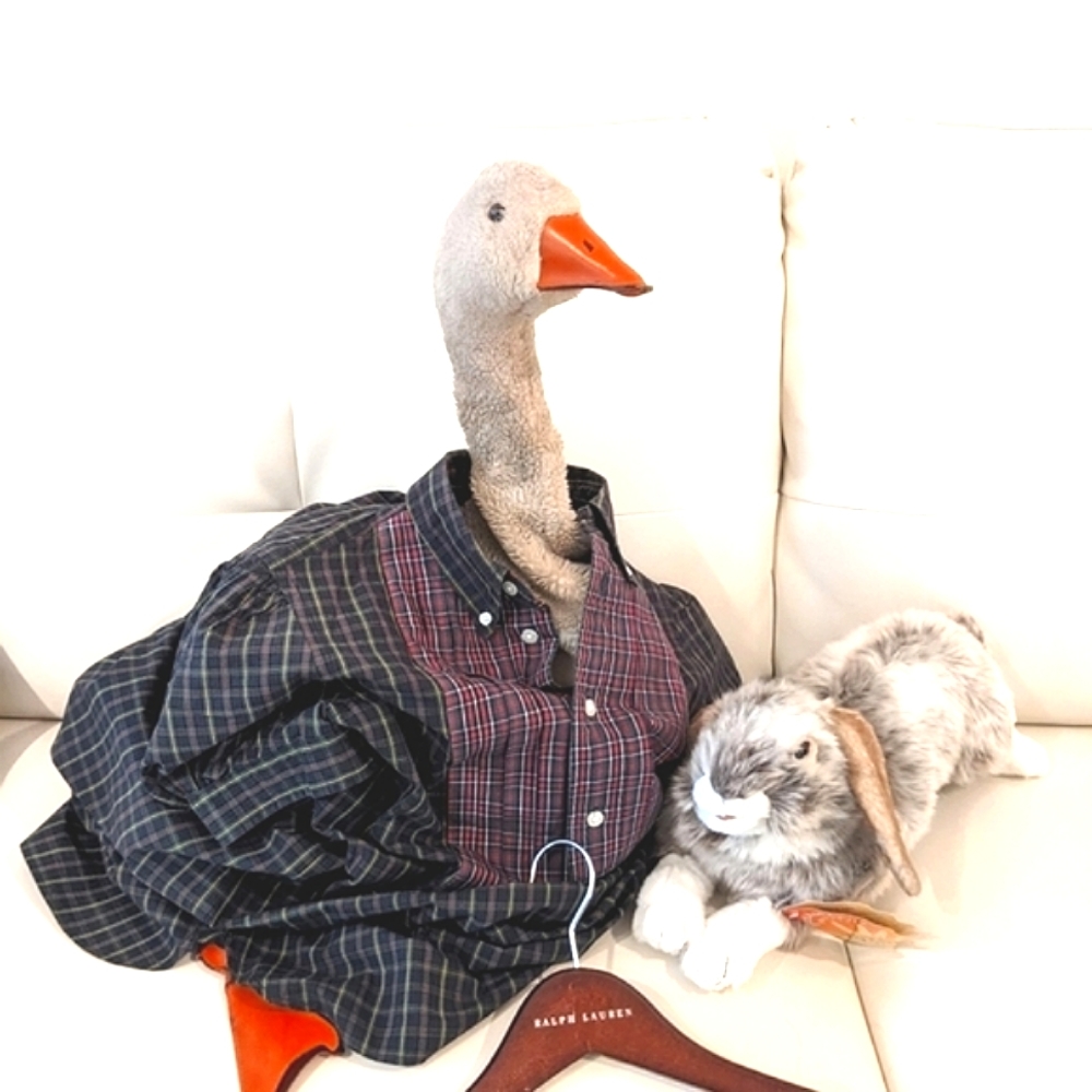 ⭐SOLD⭐Classic BABYDOLL Ralph Lauren schoolgirl shirt dress.❤️HP❤ - Picture 2 of 16